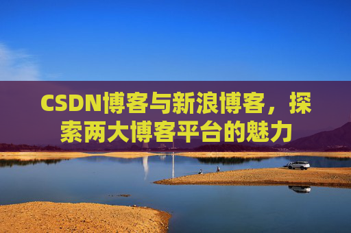 CSDN博客与新浪博客，探索两大博客平台的魅力